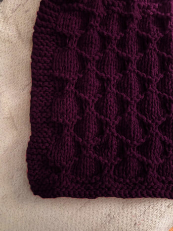 Crochet Kit - Squishy Beginner Crochet Baby Blanket – Lion Brand