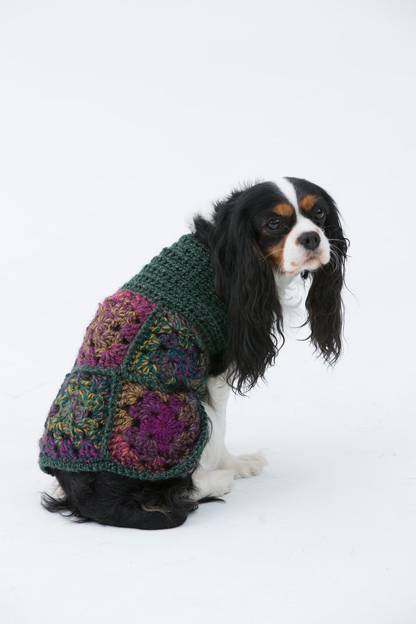 Free Knit & Crochet Patterns for Pets – Lion Brand Yarn