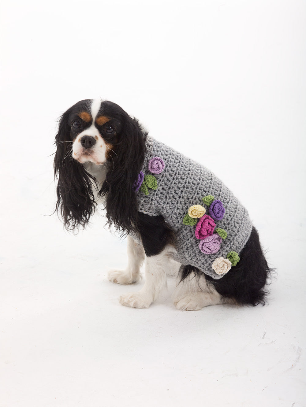 dog sweaters for females