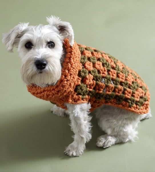 Urban Granny Dog Sweater Pattern (Crochet) – Lion Brand Yarn