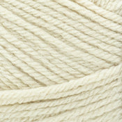 Lion Brand Basic Stitch Anti-Pilling Yarn-Skein Tones Ivory, 1 count - Fred  Meyer