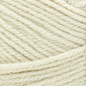 Lion Brand SKEIN TONES - Basic Stitch Anti-Pilling Yarn - 023032080956