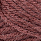 Adult Raglan Sleeve Pullover Pattern (Knit) - Version 2 – Lion