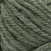 Adult Raglan Sleeve Pullover Pattern (Knit) - Version 2 – Lion