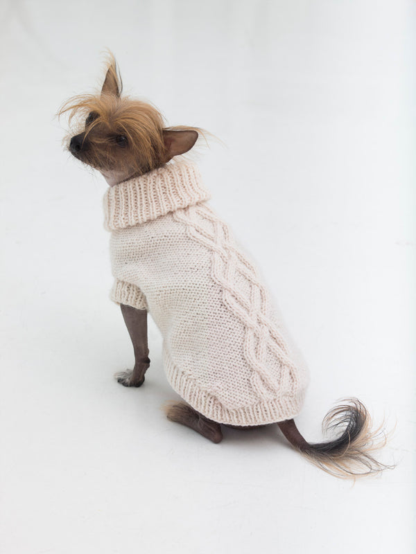 Free Knit & Crochet Patterns for Pets – Lion Brand Yarn