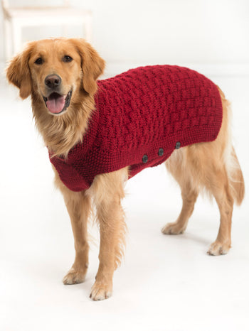 Hunter's Urban Dog Sweater (Knit) – Lion Brand Yarn