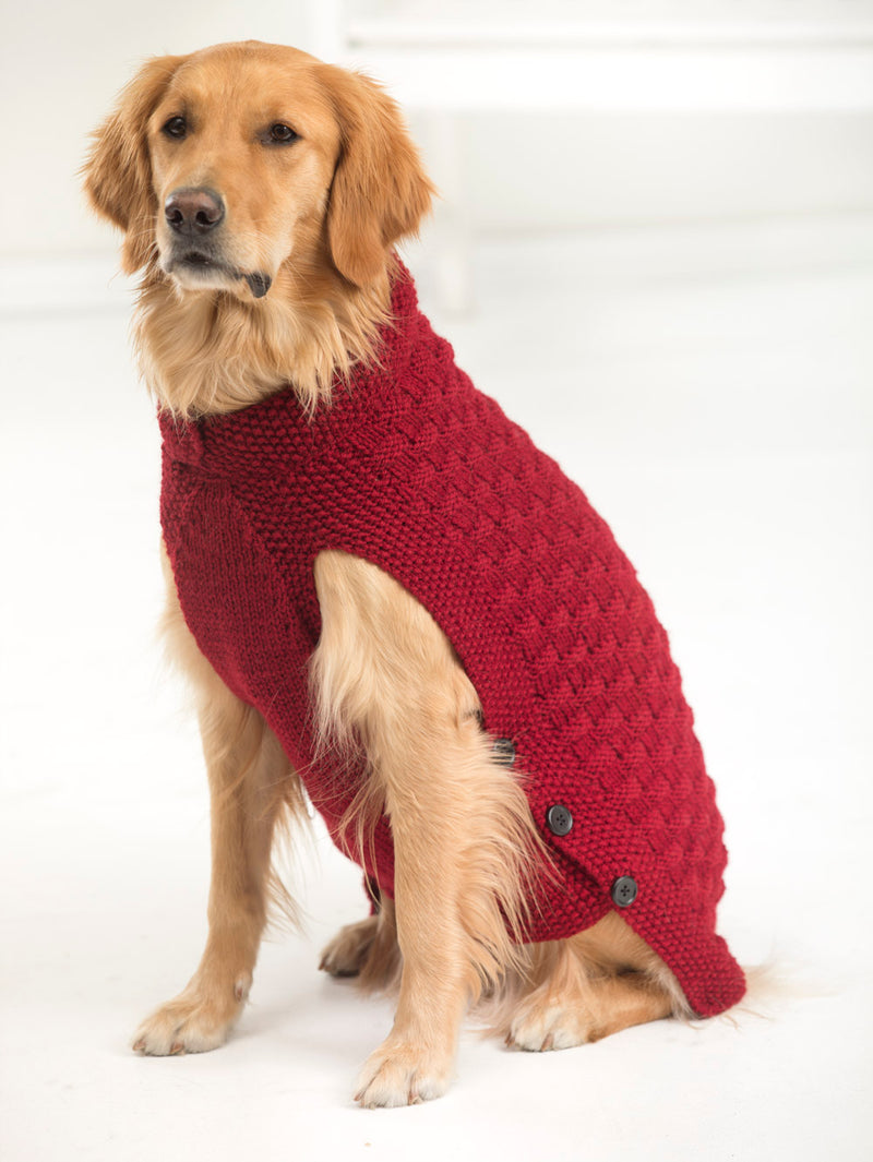 clifford-dog-sweater-knit-lion-brand-yarn