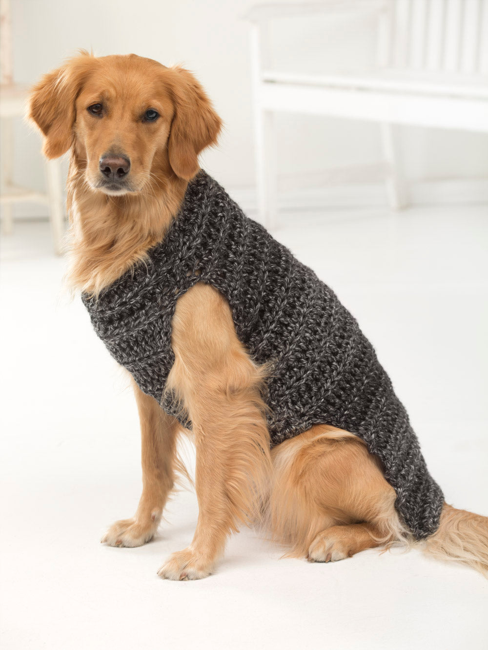 Marley Dog Sweater (Crochet) - Version 1 – Lion Brand Yarn