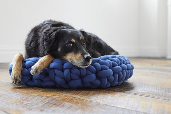 Proud Puppy Dog Sweater Pattern (Knit) – Lion Brand Yarn