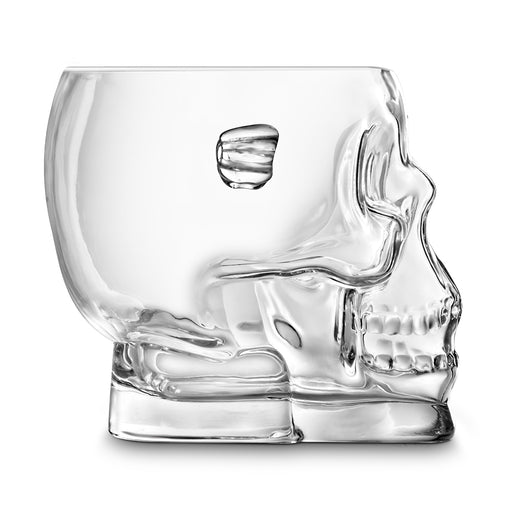 Tovolo Skull Ice Mold/Classic Whiskey Rocks Ice Mold , frost/charcoal – ASA  College: Florida