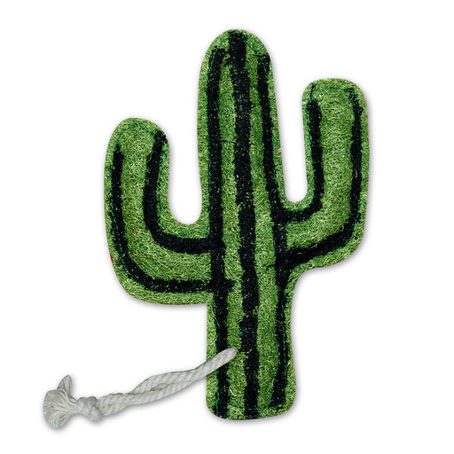 https://cdn.shopify.com/s/files/1/0286/1672/0466/products/Loofah-Art-Cactus_512x512.jpg?v=1599681812