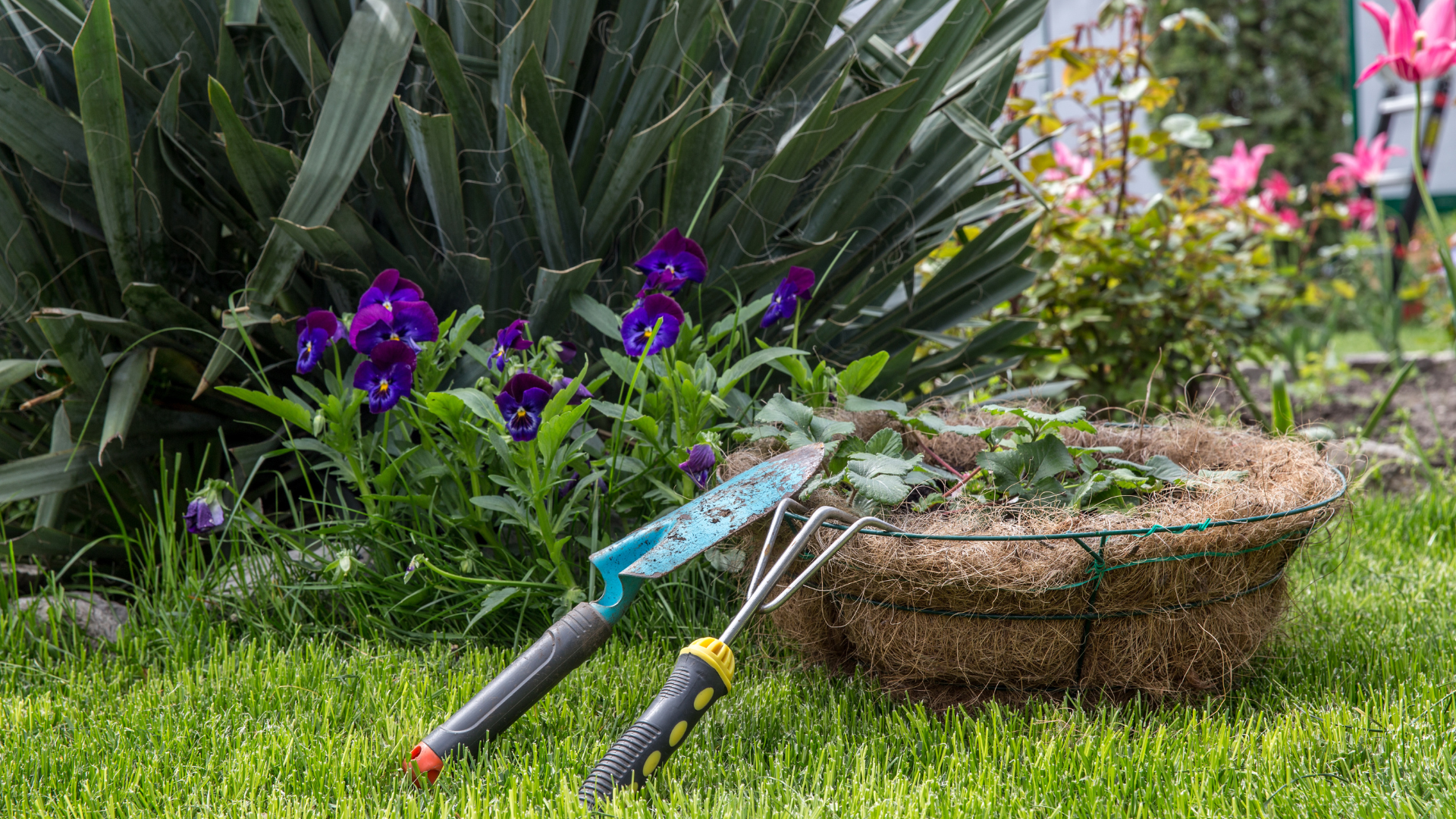 Do some gardening. Фото обычного сада. Практик сада. Какой садовник такой и сад.