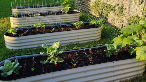 metal raised garden beds