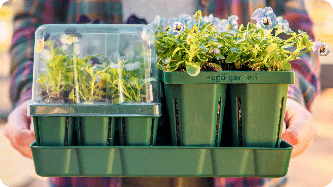 Bottom Watering Tray