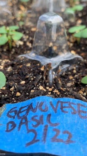 Seed Starting with Texas Eco Farms | Vego Garden