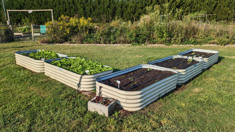 vego garden bed