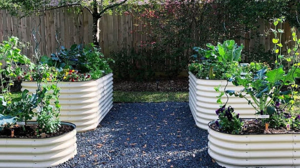 8 Excellent Reasons To Use Raised Beds In Your Garden | Vego Garden