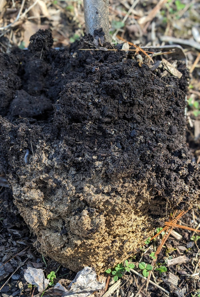 Bed soil | Vego Garden