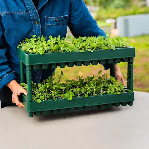 10" x 20" Stackable Seedling Tray
