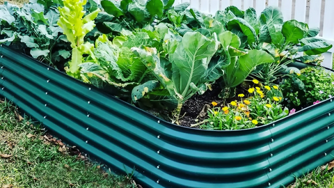 10 Ways to Style Your Vegetable Garden | Vego Garden