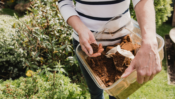 Try this Easy Method: Dig and Drop Composting | Vego Garden
