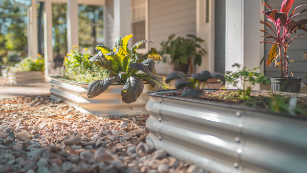 The Benefits of a Raised Garden Bed | Vego Garden