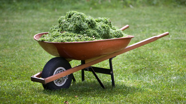 Best Fertilizer Alternatives for the Garden | Vego Garden