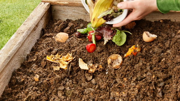 Best Fertilizer Alternatives for the Garden | Vego Garden