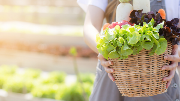 It's National Harvest Month! Here are a Few Benefits to Growing a Garden | Vego Garden