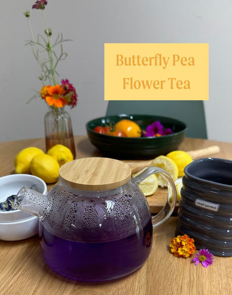 Butterfly pea tea is a vibrant purple | Vego Garden