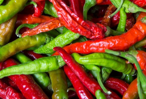 Chili peppers for chutney | Vego Garden
