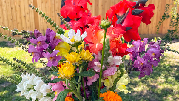 Growing A Bouquet Garden