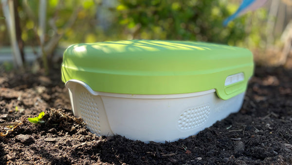 How to Vermicompost for Beginners | Vego Garden