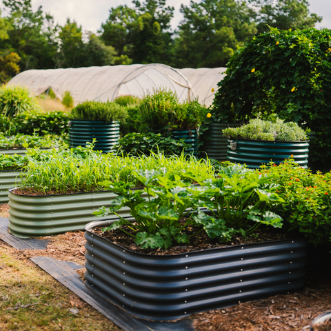 garden bed