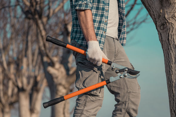 Loppers for tree pruning | Vego Garden