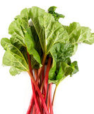 Rhubarb leaves are a no-go for juicing if you're prone to kidney stones | Vego Garden