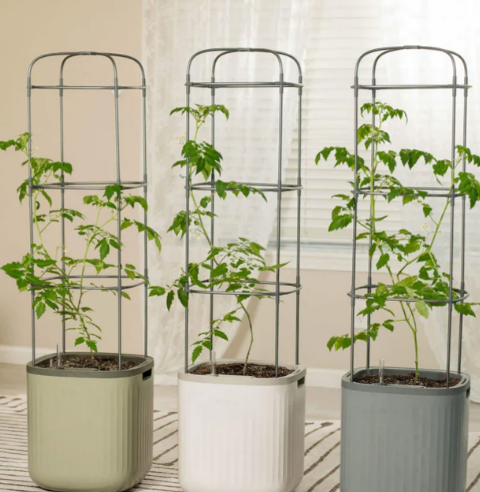 Vego Garden's new self-water tomato planters | Vego Garden