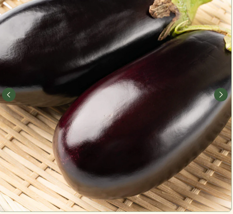 Get those eggplants started inside so you have a healthy crop this spring | Vego Garden