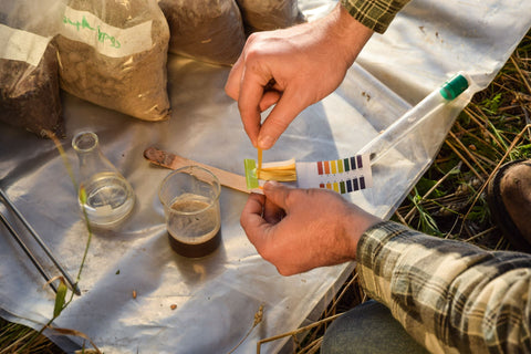 Testing the pH level of soil samples | Vego Garden