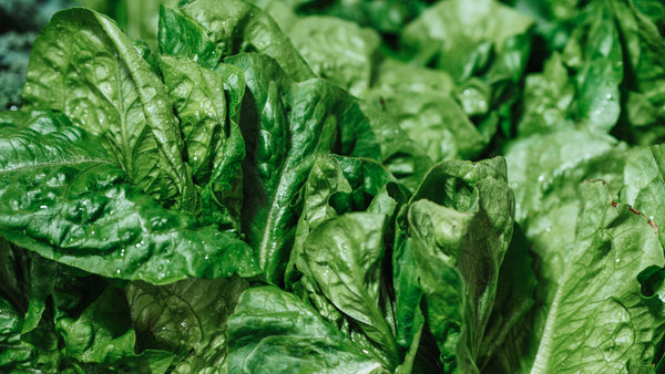 National Spinach Day is March 26, 2024