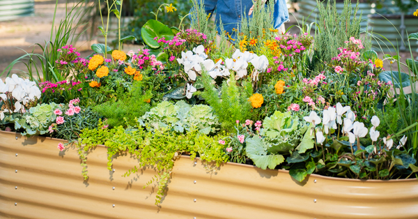 Sunlit Oak Raised Garden Bed | Vego Garden