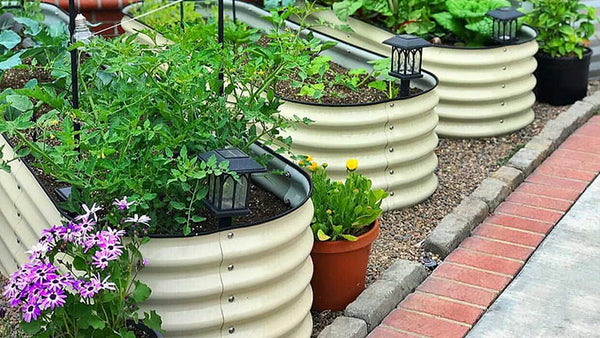 Techniques for Improving Soil Quality
