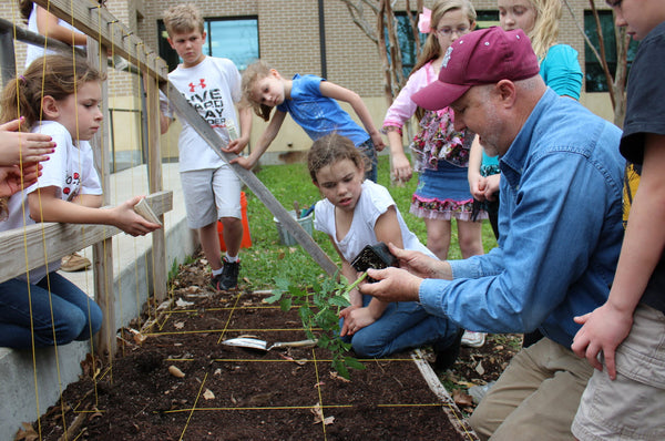 Square foot gardening your spring garden | Vego Garden