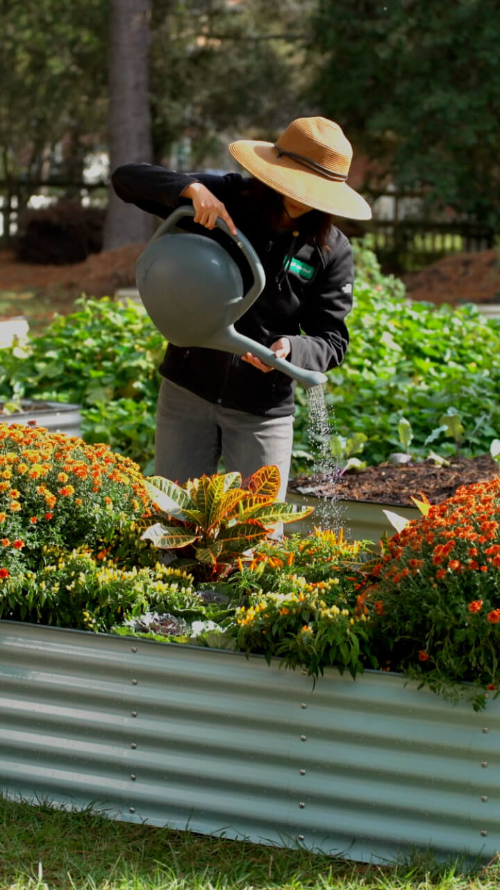 Round Garden Grow Bag Garden Planter Vegetable Box