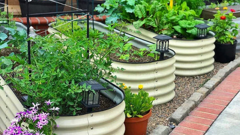 Are Raised Garden Beds Environmentally Responsive or Not | Vego Garden