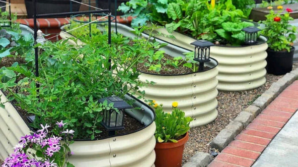 Raised garden beds | Vego Garden