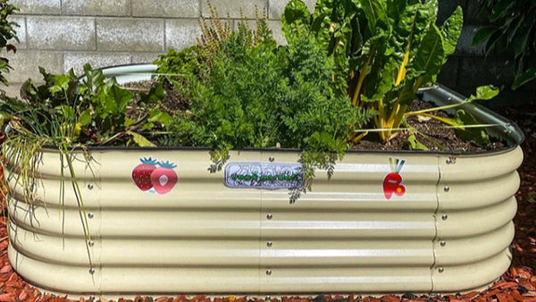 Do Raised Garden Beds Need Drainage | Vego Garden