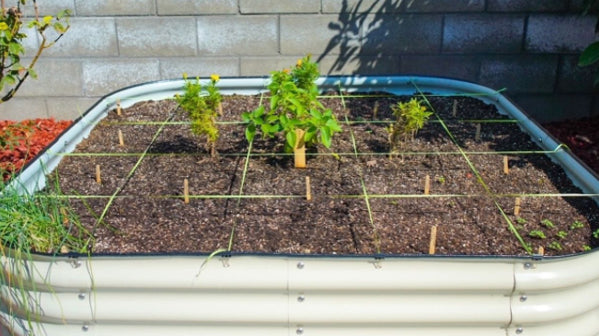 Everything You Need to Know About Raised Garden Beds | Vego Garden