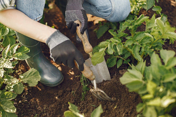Gardening tools | Vego Garden