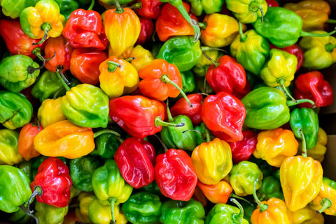 habanero pepers